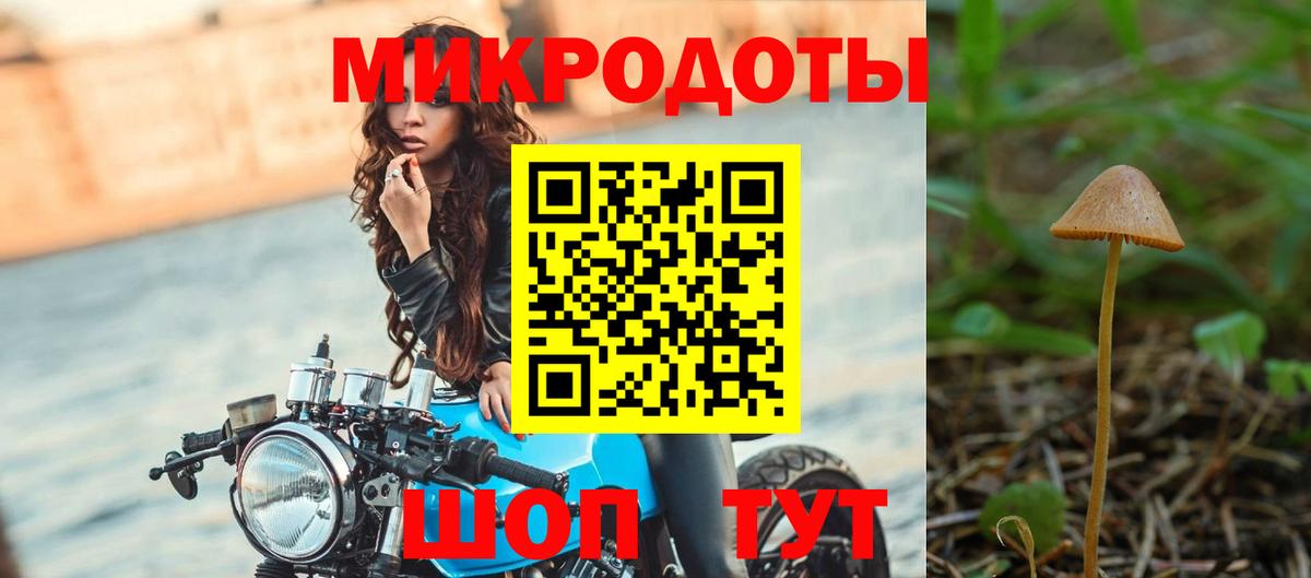 Ессентуки  Псилоцибиновые грибы мухоморы  Вход с VPN  Галлюциногенные грибы мухоморы 